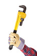 Photo: Pipe Wrench Pipe Wrench