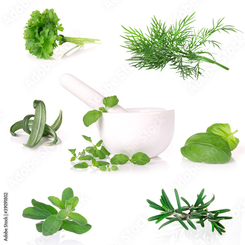 Photo: herbs collection over white herbs collection over white
