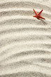 Foto: Starfish in sand Starfish in sand