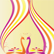 two lovers against bird rainbow