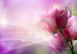 Roses Art Design. Invitation Card