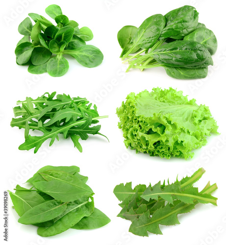 Photo: Collage from salad Collage from salad