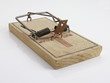 Mouse trap