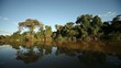 Amazonas