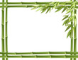 Bamboo frame. Vector background