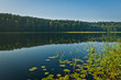 Photo: Forest reflection in the lake in summer Forest reflection in the lake in summer