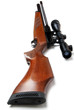 hunting rifle with scope isolated