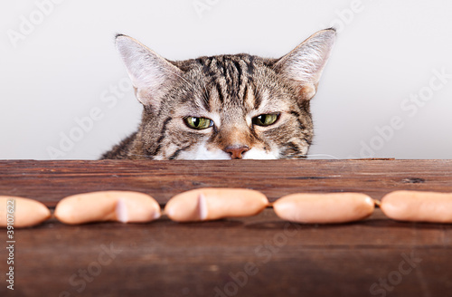 Photo: Katze und Würstchen Katze und Würstchen