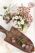 Blumen mit alter Schaufel