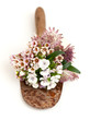 Blumen auf alter Schaufel