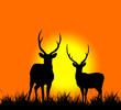 Ilustração : silhouette of deer silhouette of deer