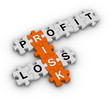risk management