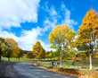 First winter snow and autumn colorful foliage near mountain road