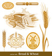 Vector set - bread and wheat