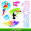Vector set of stylized decorative tropical birds