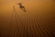 Shadow of a photographer levitating next to his tripod