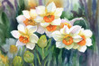Narcissus