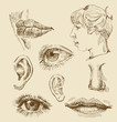 art collection