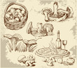 mushrooms set