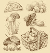 mushrooms set