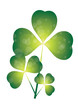 triple shamrock