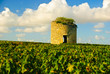 Photo: Old ruined stone medieval tower in vineyard, Medoc, France Old ruined stone medieval tower in vineyard, Medoc, France