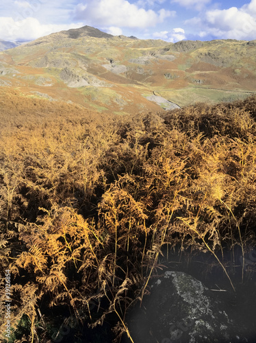 Photo: lake district lake district