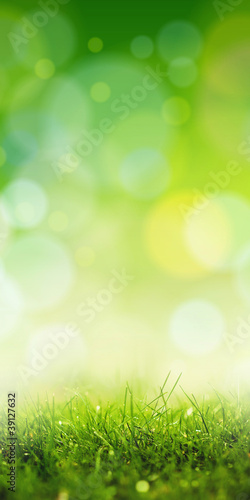 Photo: green sensation green sensation