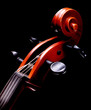 cello