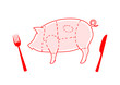 Pig on white background