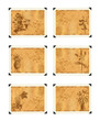 old paper with plants in vintage style graphics.