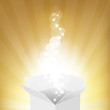Vector: Box And Sunburst Box And Sunburst