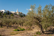 Mediterranean village