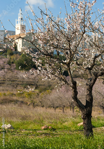 Photo: Parcent hamlet Parcent hamlet