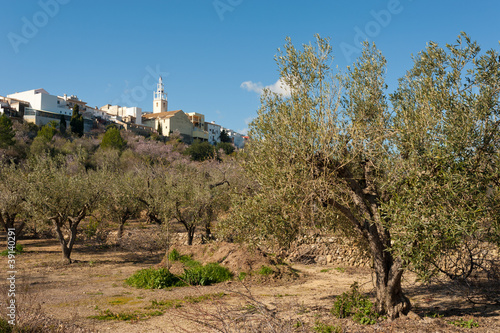 Photo: Mediterranean village Mediterranean village