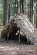 Survival Shelter in the forest