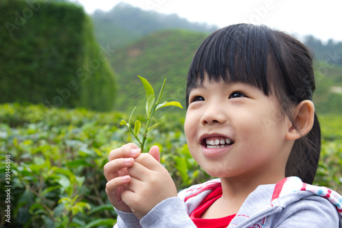 Photo: Little child at tea plantation Little child at tea plantation