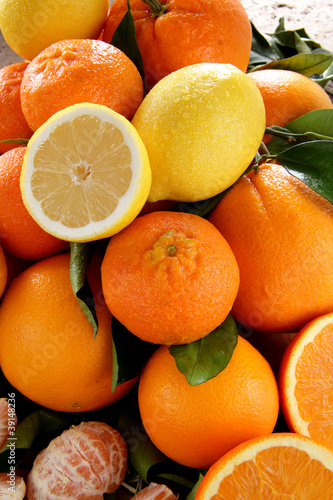 Photo: agrumi mediterranei con limone arancia mandarino agrumi mediterranei con limone arancia mandarino