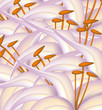 Sfondo Lilium