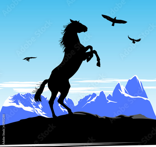 Vektor: Horse stand on its hind legs Horse stand on its hind legs
