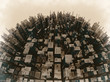 overpopulation