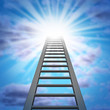 Corporate Ladder
