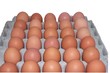 eierkarton