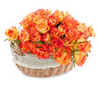 basket of roses on a white background.