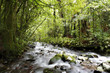 Stream