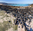 Beach with volcanic stones