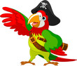 Pirate  Parrot