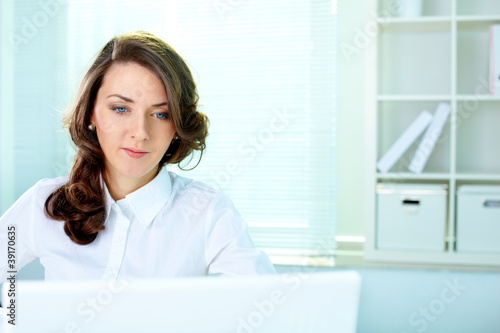 Photo: Busy working Busy working