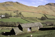 farm