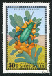 insect